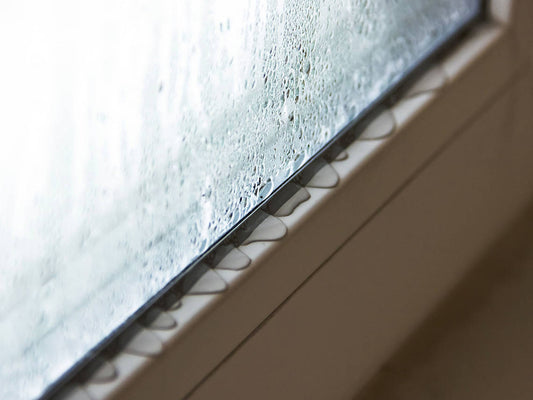 Do I have a roof leak or condensation?