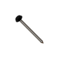 A black-capped polynail lying diagonally.